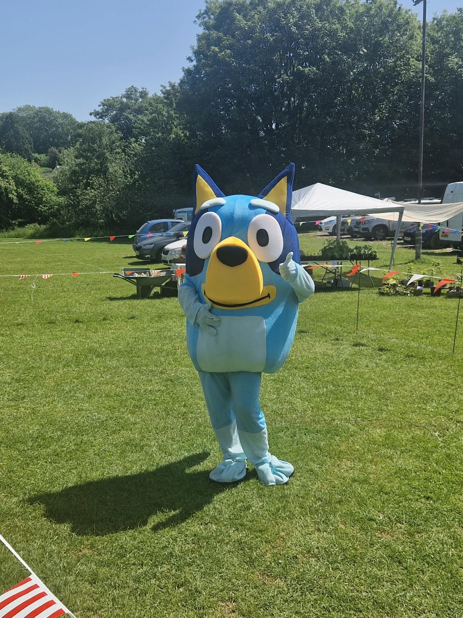 Character mascot at an outdoor event